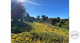 SE VENDE TERRENO CONDOMINIO LOMAS DEL CARMEN