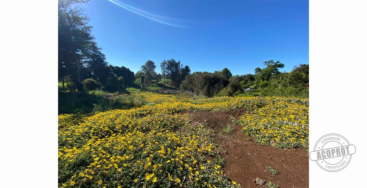 SE VENDE TERRENO CONDOMINIO LOMAS DEL CARMEN