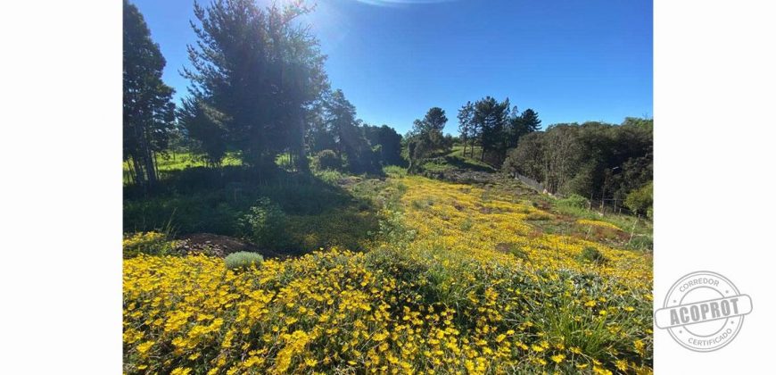SE VENDE TERRENO CONDOMINIO LOMAS DEL CARMEN