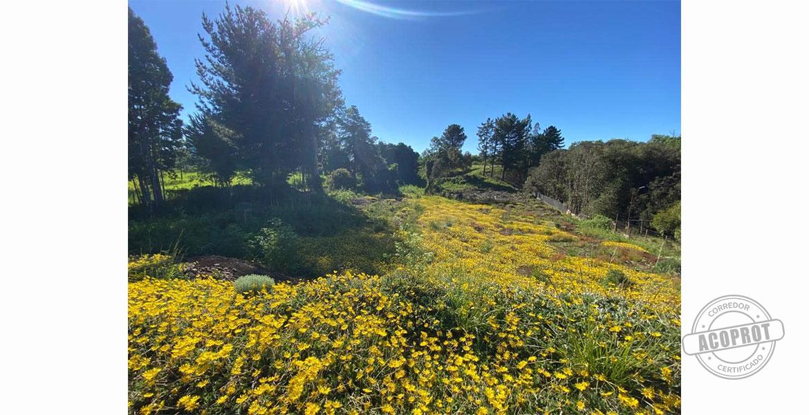 SE VENDE TERRENO CONDOMINIO LOMAS DEL CARMEN