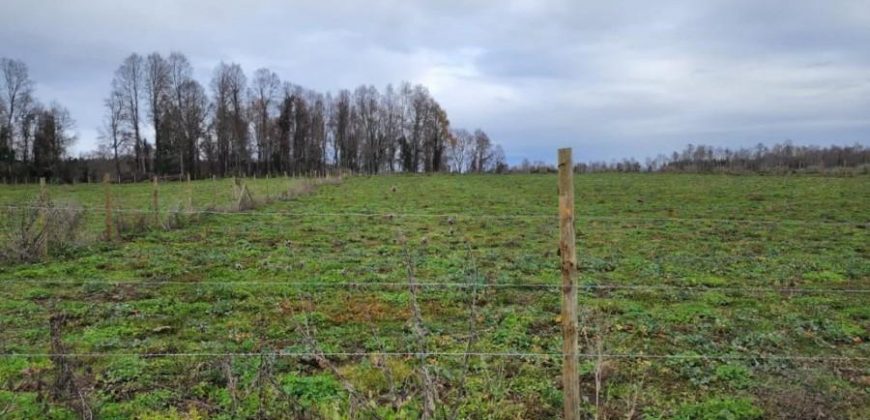 SE VENDEN BELLAS PARCELAS A 30 KM DE VILLARRICA