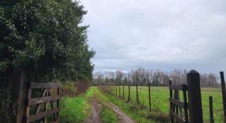 SE VENDEN BELLAS PARCELAS A 30 KM DE VILLARRICA