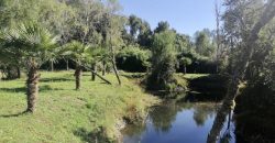 Vendo Parcela con dos Casas, Maquehue, Araucanía,