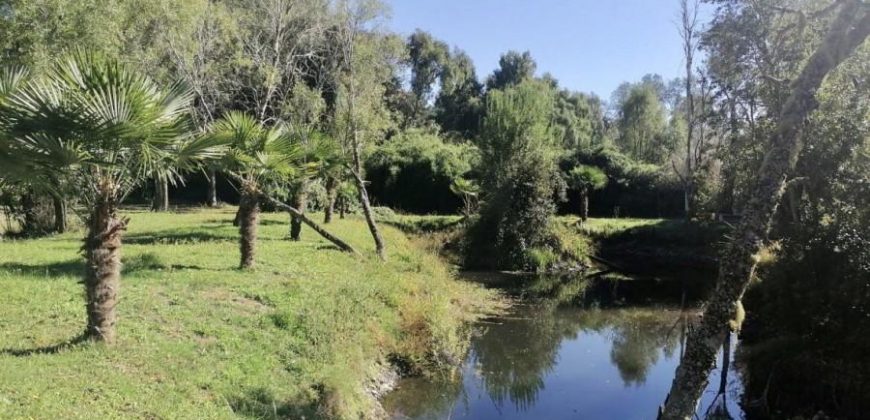 Vendo Parcela con dos Casas, Maquehue, Araucanía,
