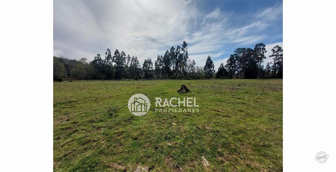 SE VENDE HERMOSA PARCELA CONDOMINIO ALTOS DE PUMALAL II DE LA CIUDAD DE TEMUCO