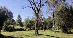 Vendo Parcela con dos Casas, Maquehue, Araucanía,