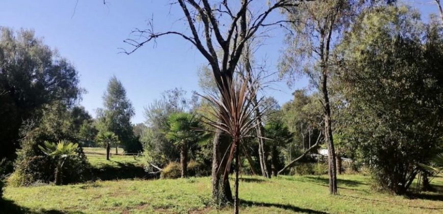 Vendo Parcela con dos Casas, Maquehue, Araucanía,