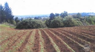 Vende, Linda parcela de agrado y cultivo. 2 hectáreas planas
