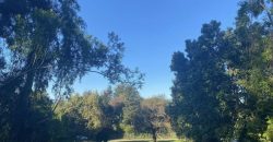 SE VENDE SITIO EN LOTEO PARQUE DEL LAGO Ruta Villarrica- Pucón (km 6 app)