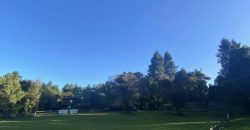 SE VENDE SITIO EN LOTEO PARQUE DEL LAGO Ruta Villarrica- Pucón (km 6 app)