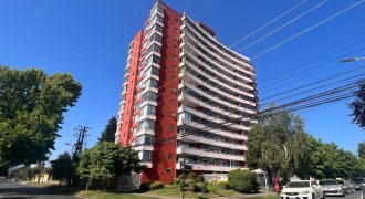 Vendemos departamento en sector holandesa