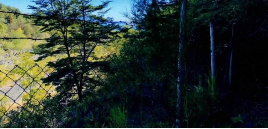 Vende Parcela de 5.000 mt2, Lote 10B y Casa de Veraneo, 4 dormitorios, 2 baños, completamente equipada, lugar Challupén a 5 kilómetros pasado Lican Ray hacia Coñaripe