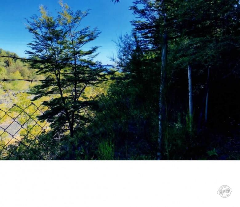 Vende Parcela de 5.000 mt2, Lote 10B y Casa de Veraneo, 4 dormitorios, 2 baños, completamente equipada, lugar Challupén a 5 kilómetros pasado Lican Ray hacia Coñaripe
