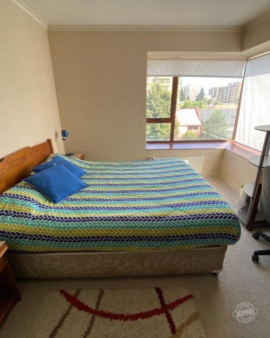 Arriendo Dpto completamente Amoblado Edificio Lyon