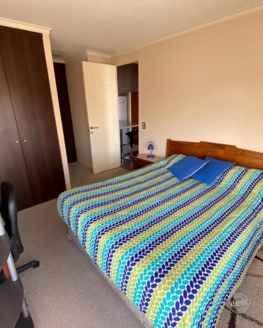 Arriendo Dpto completamente Amoblado Edificio Lyon