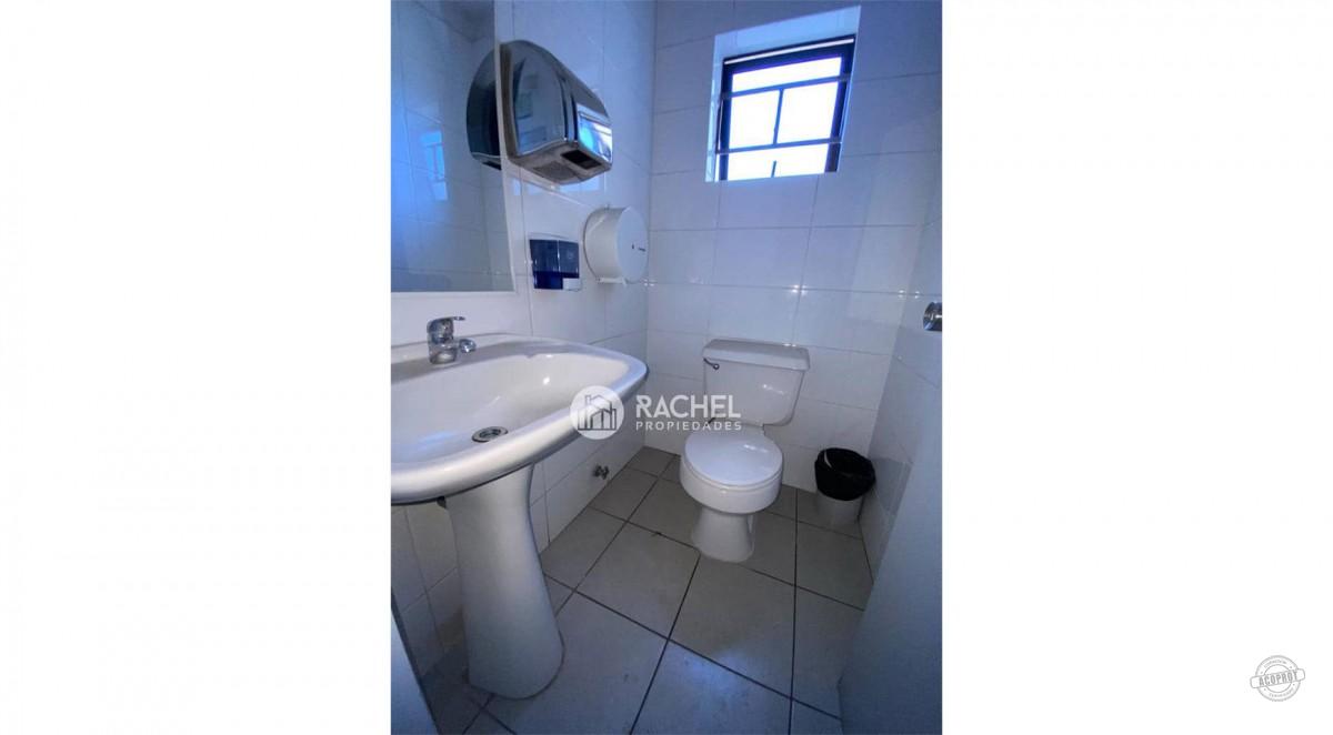 GRAN LOCAL COMERCIAL EN AVENIDA ALEMANIA