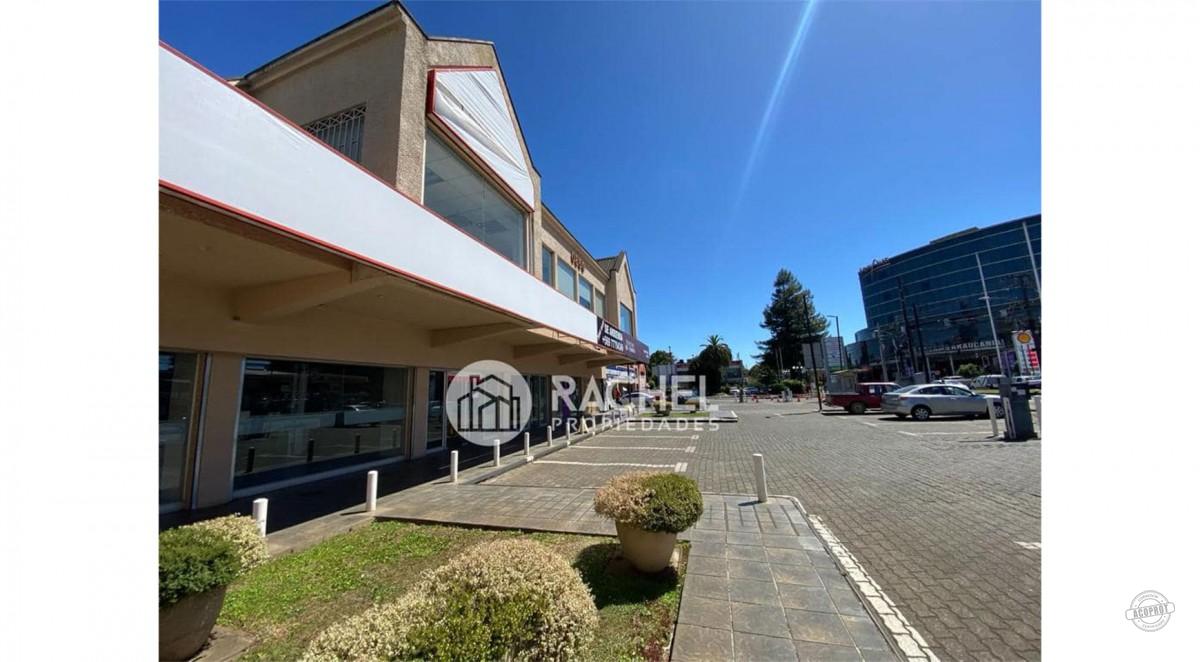 GRAN LOCAL COMERCIAL EN AVENIDA ALEMANIA