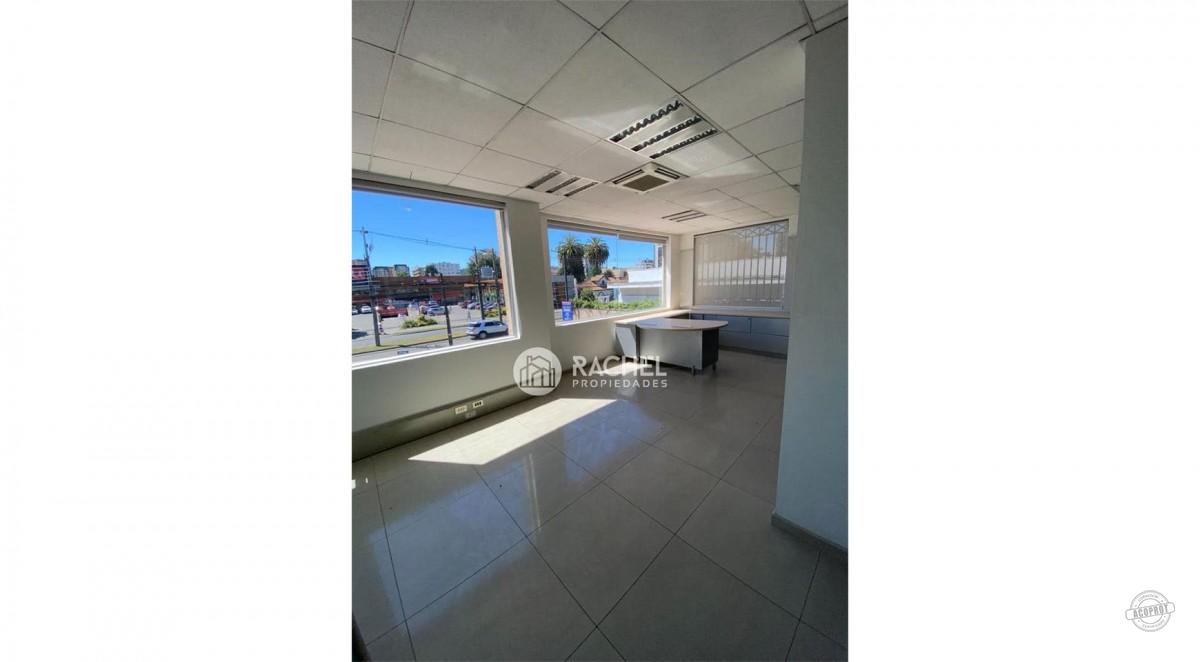 GRAN LOCAL COMERCIAL EN AVENIDA ALEMANIA