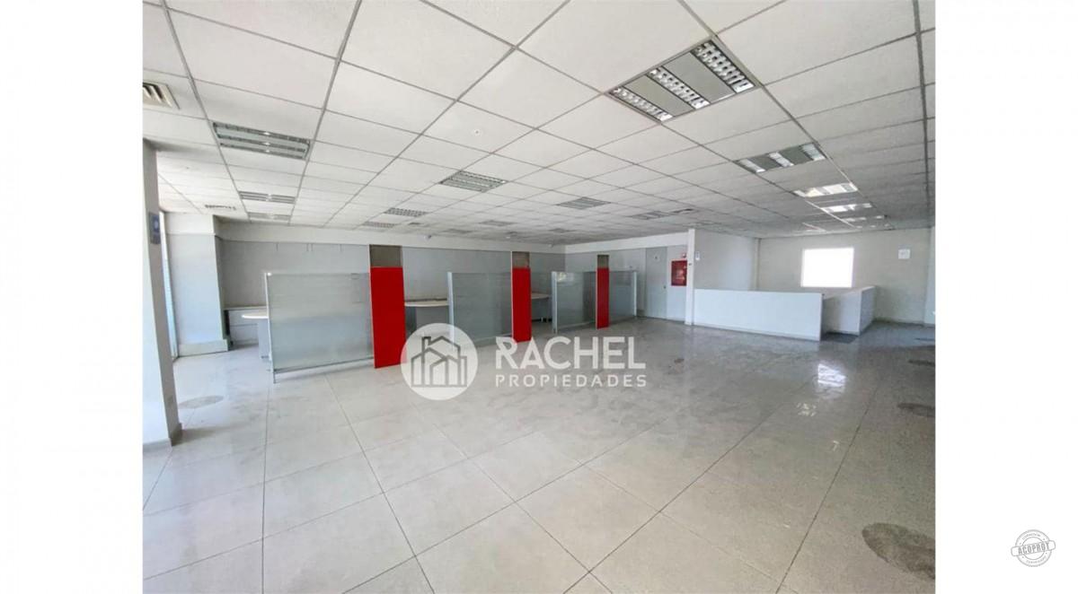 GRAN LOCAL COMERCIAL EN AVENIDA ALEMANIA