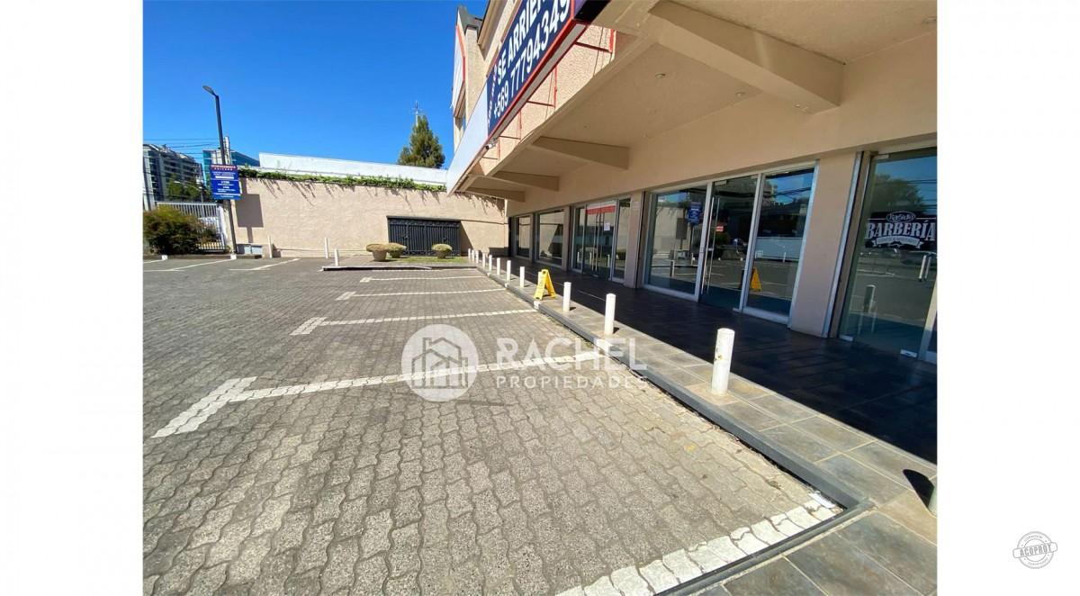 GRAN LOCAL COMERCIAL EN AVENIDA ALEMANIA