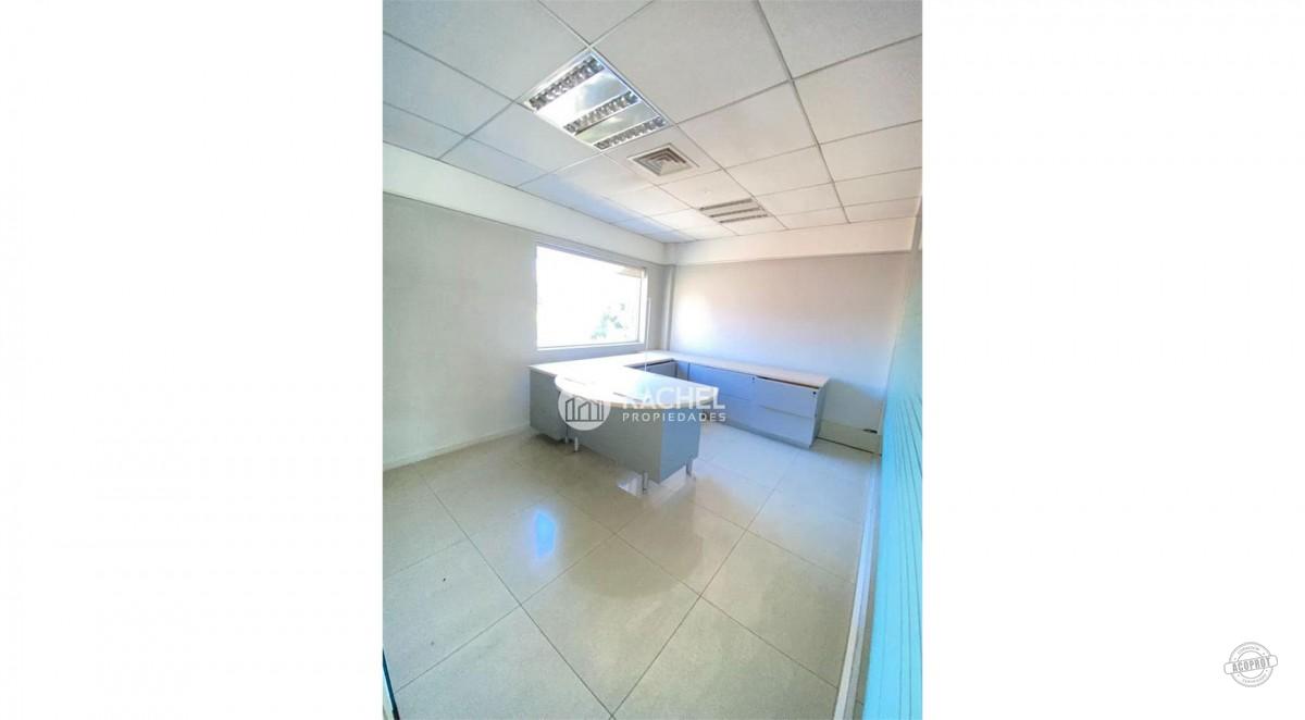 GRAN LOCAL COMERCIAL EN AVENIDA ALEMANIA