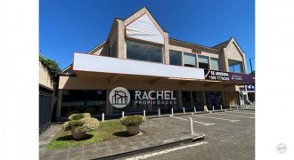 GRAN LOCAL COMERCIAL EN AVENIDA ALEMANIA