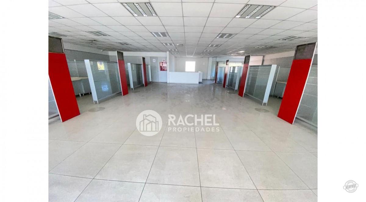 GRAN LOCAL COMERCIAL EN AVENIDA ALEMANIA