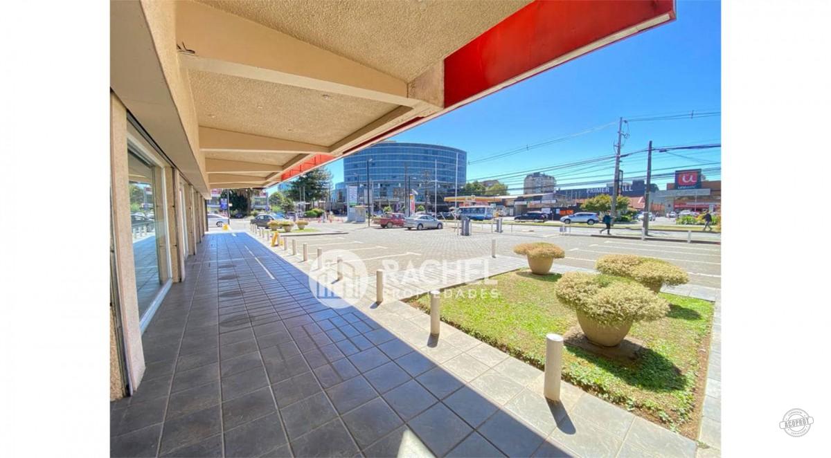 GRAN LOCAL COMERCIAL EN AVENIDA ALEMANIA