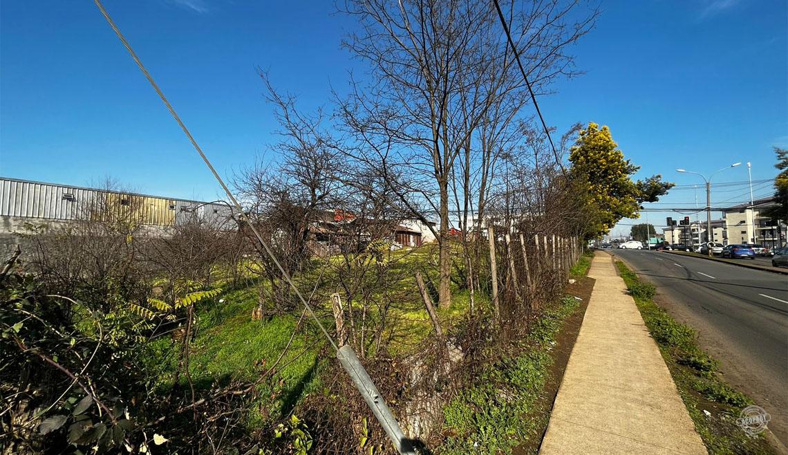 Arrendamos sitio en Avenida Luis Durand casi esquina Javiera Carrera