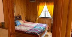 SE VENDEN CABAÑAS EN LICAN RAY