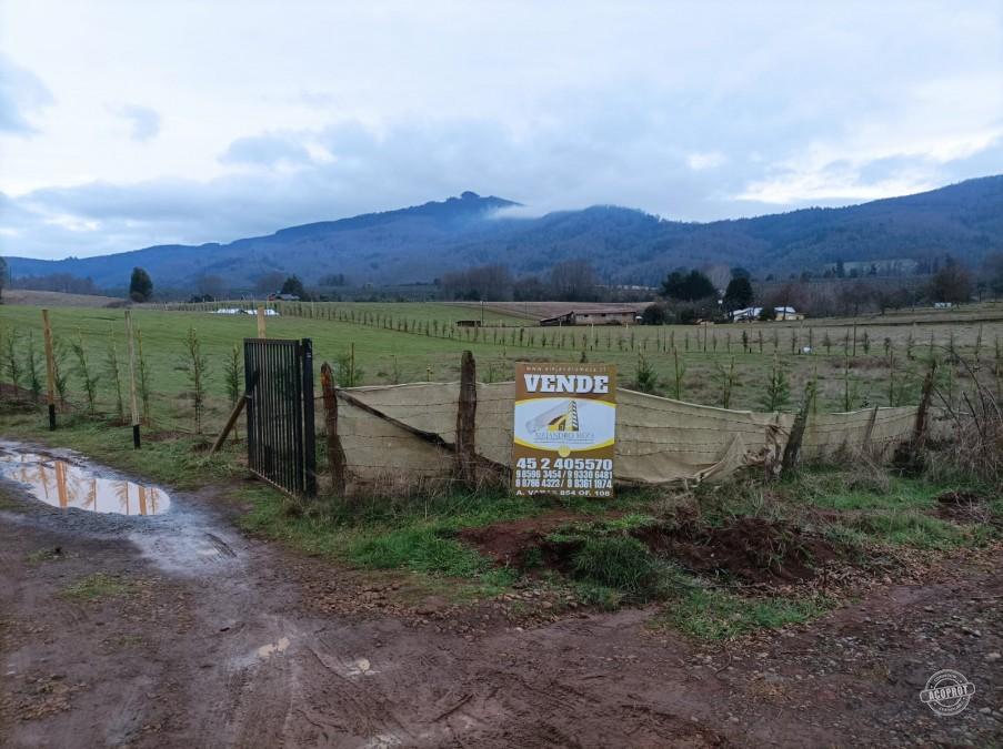 SE VENDE PARCELA EN PUMALAL SECTOR NORTE DE TEMUCO