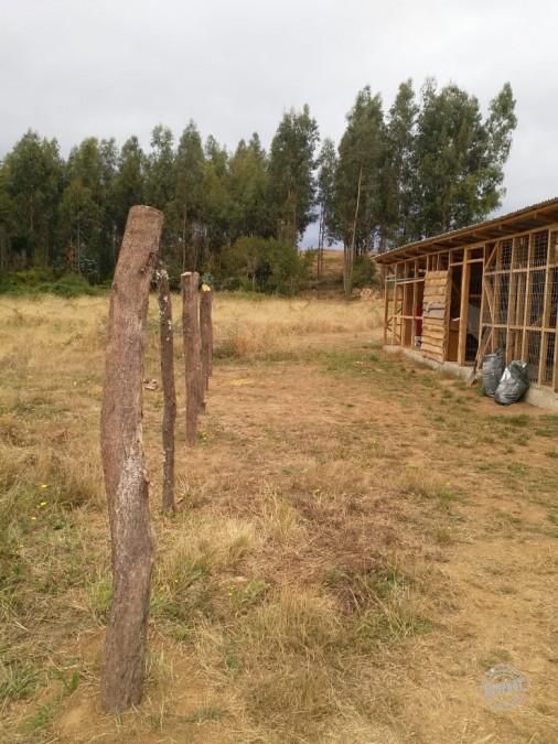 SE VENDE PARCELA EN PUMALAL SECTOR NORTE DE TEMUCO
