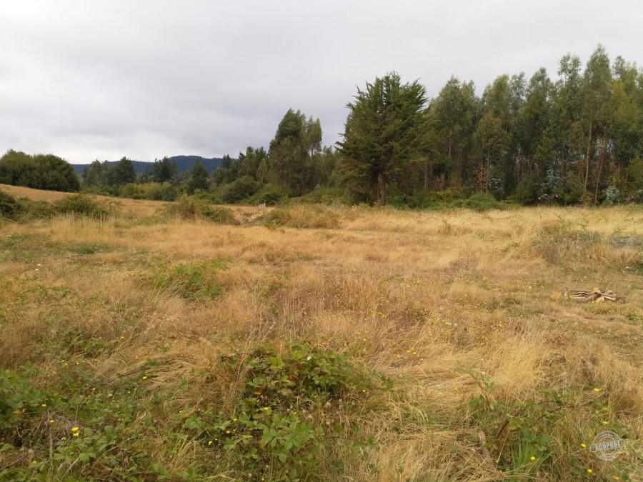 SE VENDE PARCELA EN PUMALAL SECTOR NORTE DE TEMUCO