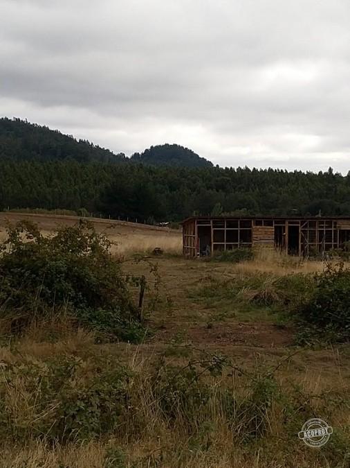 SE VENDE PARCELA EN PUMALAL SECTOR NORTE DE TEMUCO