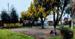 Vende hermosa casa, fundo el carmen
