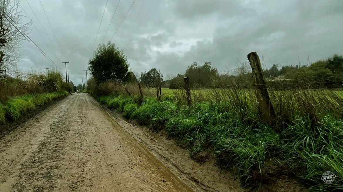 ¡Tú oportunidad de inversión está aquí!  Vendemos Parcela camino a Botrolhue