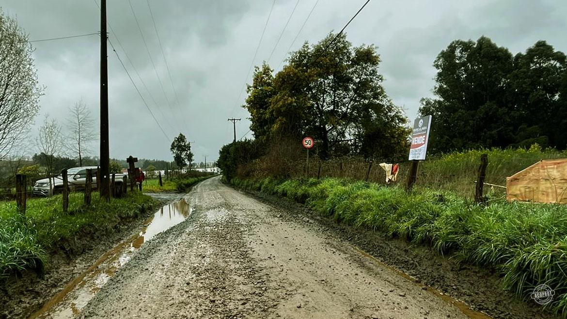 ¡Tú oportunidad de inversión está aquí!  Vendemos Parcela camino a Botrolhue