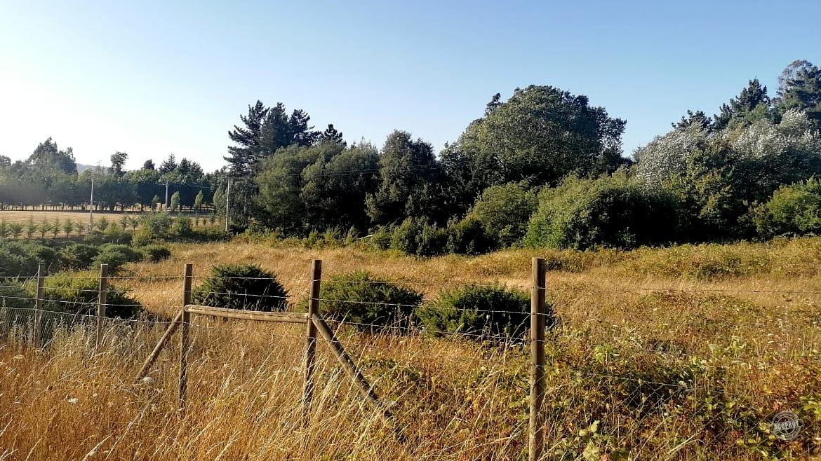 Vendemos bonita parcela en tranquilo condominio en sector Pumalal Vendemos bonita parcela en tranquilo condominio en sector Pumalal