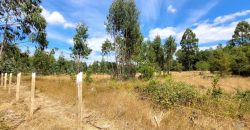 EN VENTA TERRENO DE 10000 M2 EN LA COMUNA DE MAFIL