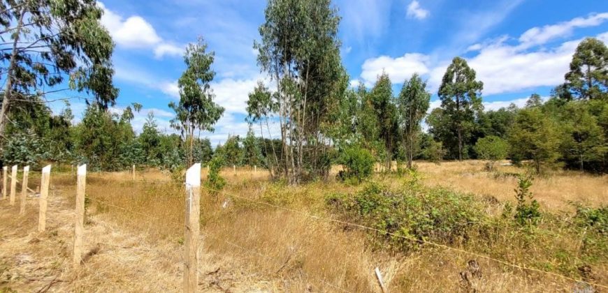 EN VENTA TERRENO DE 10000 M2 EN LA COMUNA DE MAFIL