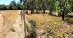 EN VENTA TERRENO DE 10000 M2 EN LA COMUNA DE MAFIL