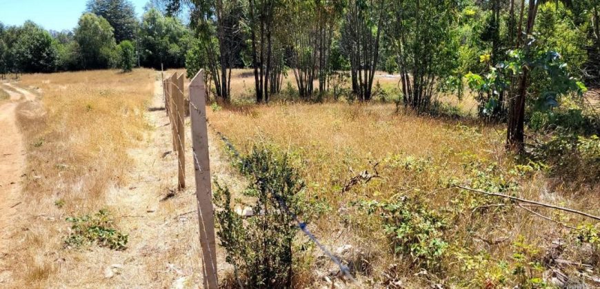EN VENTA TERRENO DE 10000 M2 EN LA COMUNA DE MAFIL