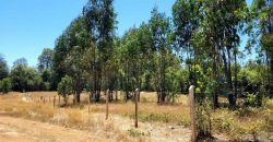 EN VENTA TERRENO DE 10000 M2 EN LA COMUNA DE MAFIL