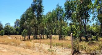 EN VENTA TERRENO DE 10000 M2 EN LA COMUNA DE MAFIL