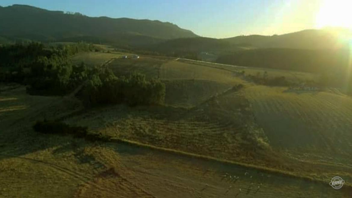 ¡Parcela de media hectárea en Pumalal, IX Región! ¡Parcela de media hectárea en Pumalal, IX Región!