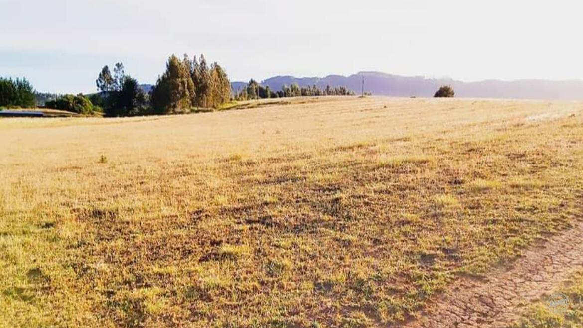 ¡Parcela de media hectárea en Pumalal, IX Región! ¡Parcela de media hectárea en Pumalal, IX Región!