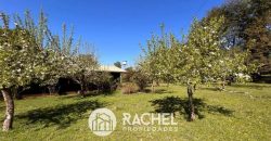 EN VENTA PRECIOSO CAMPOS A ORILLA DE CARRETERA SECTOR HUICHAHUE