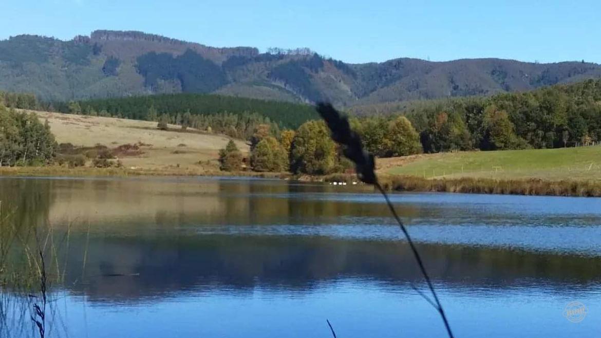 ¡Parcela de media hectárea en Pumalal, IX Región! ¡Parcela de media hectárea en Pumalal, IX Región!