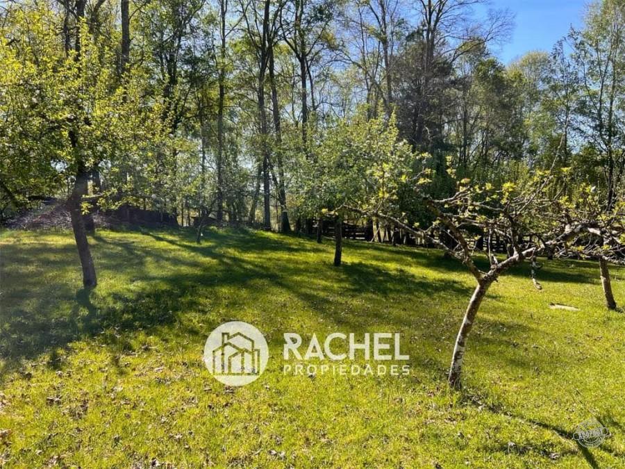 EN VENTA PRECIOSO CAMPOS A ORILLA DE CARRETERA SECTOR HUICHAHUE