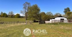 EN VENTA PRECIOSO CAMPOS A ORILLA DE CARRETERA SECTOR HUICHAHUE
